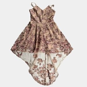 Two Sisters Dress Lace The Label Size 8 Womens Floral NWT Peach Lined Sleeveless